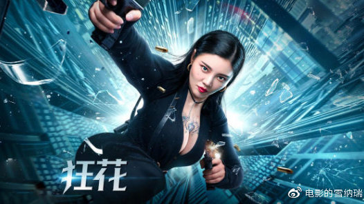 个人学历证书网上查询没有证书编号
